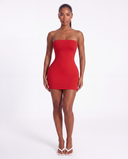 Anaya Tube Mini Dress