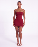 Anaya Tube Mini Dress